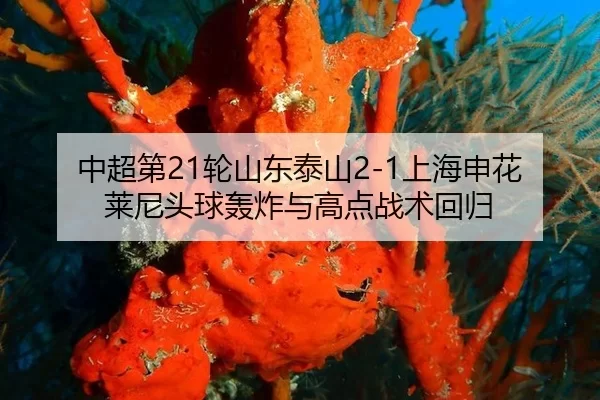 zhong-chao-di-lun-shan-dong-tai-shan-shang-hai-shen-hua-lai-ni-tou-qiu-hong-zha-yu-gao-dian-zhan-shu-hui-gui-2-122.jpg
